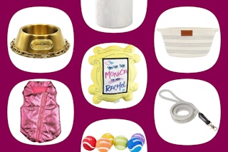 collage image of pet items