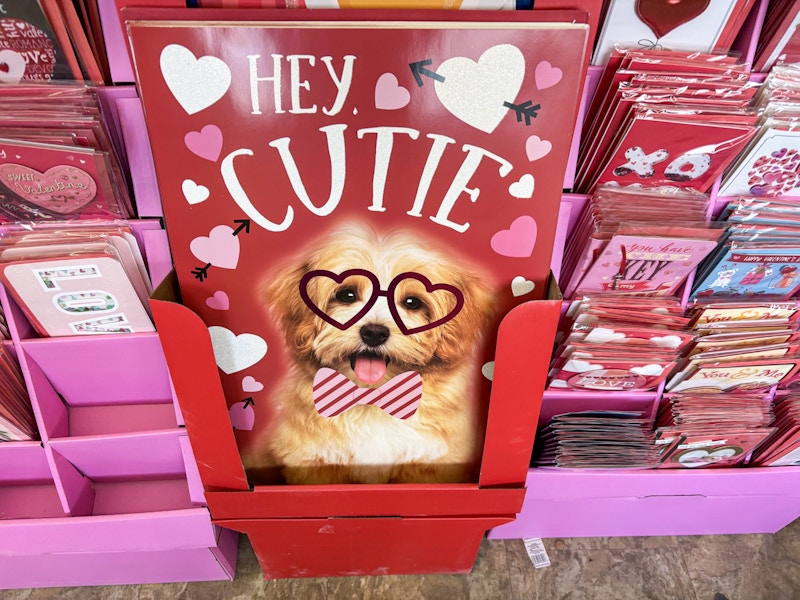 dollar tree hey cutie giant valentine's day card