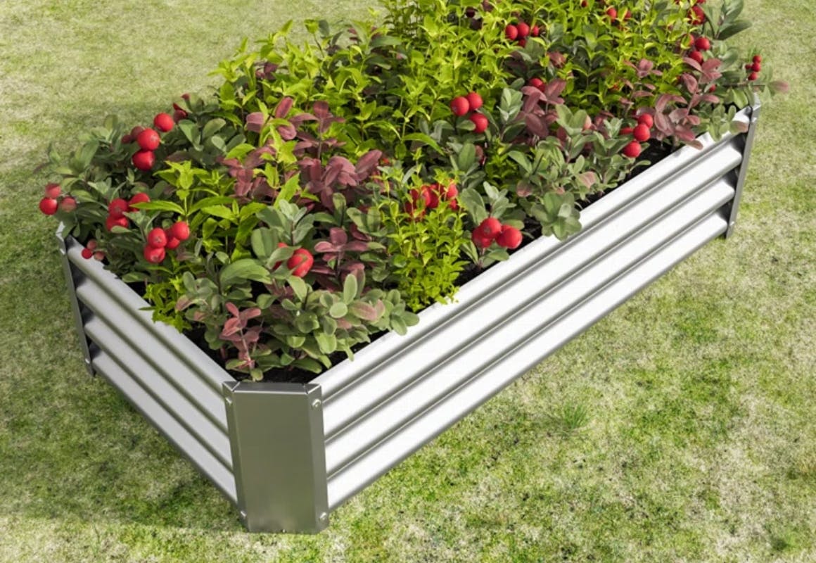 Arlmont & Co. Raised Garden Bed 