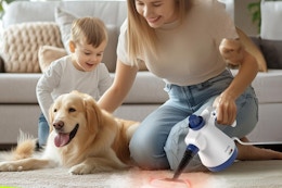Get This Steam Cleaner for Under $24 on Amazon card image