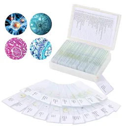 Microscope Slides