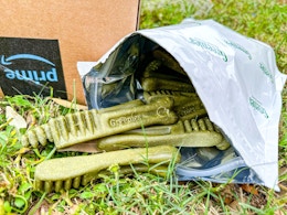 Greenies on the grass.