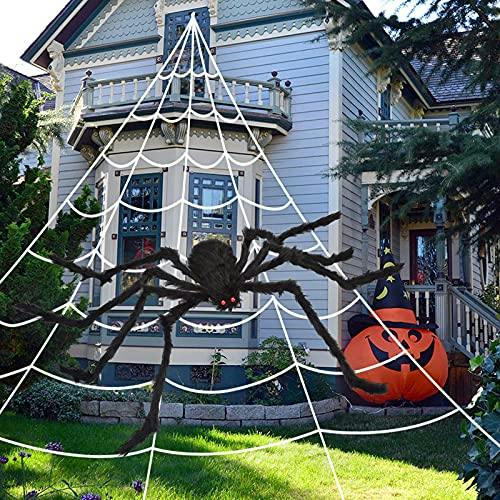 Halloween Spider Web & Spider Set