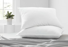 Linens & Hutch Pillows