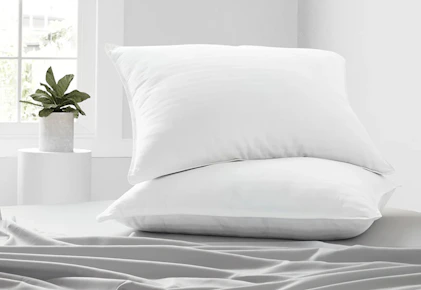 Linens & Hutch Pillows