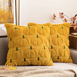 Pumpkin Pillow Covers 2-Pack