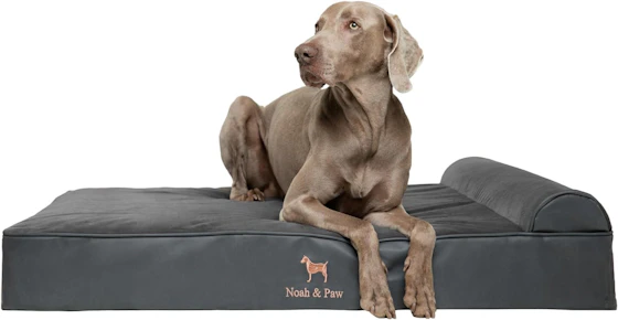 Noah & Paw Dog Bed