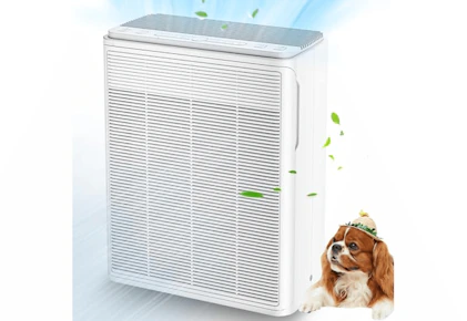 Air Purifier
