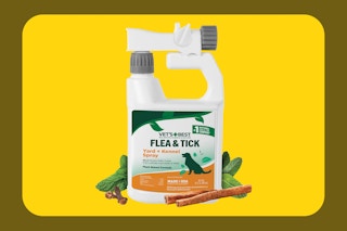 Copy of Advanced Feature Image Template Frame 33