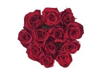 Bloom Haus Dozen Roses