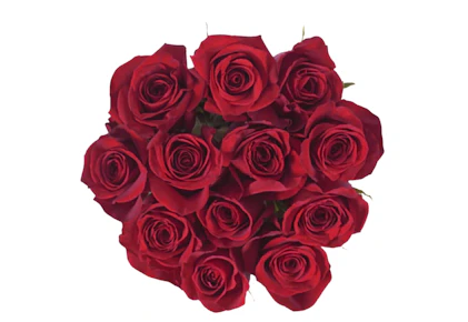 Bloom Haus Dozen Roses