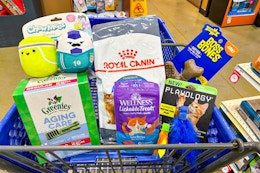 petsmart clearance items in a shopping cart