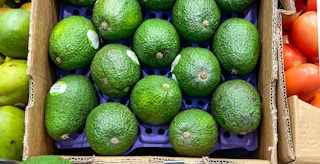 aldi avocados